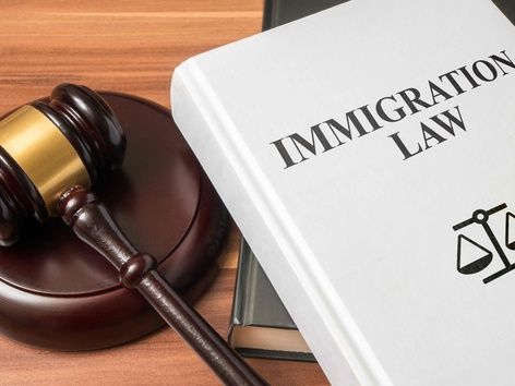 Пошаговая инструкция: как подать на убежище во Франции